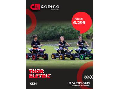 MXF - THOR ELETRIC - 2026/2026 - Verde - R$ 6.299,00