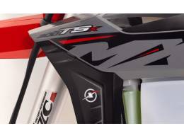 MXF - 300 TSX - 2025/2026 - Cinza - R$ 41.745,00