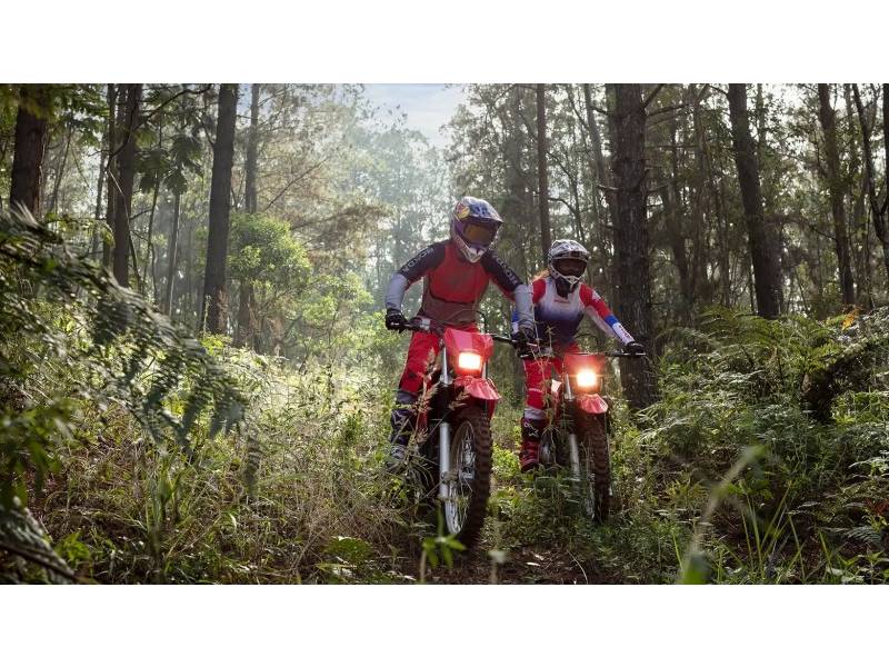 HONDA - CRF 300F - 2025/2026 - Vermelha - Sob Consulta